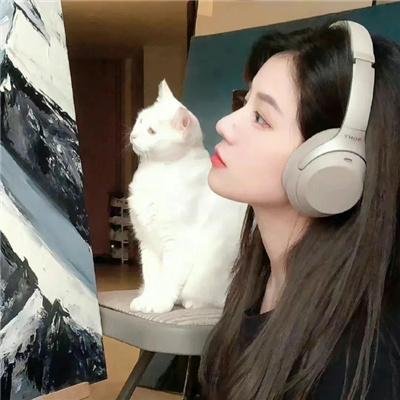 霹雳先锋粤语